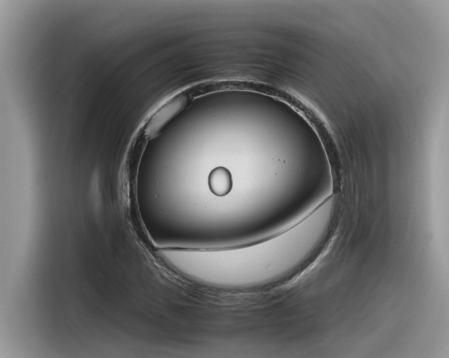 X0000116330925200912011129