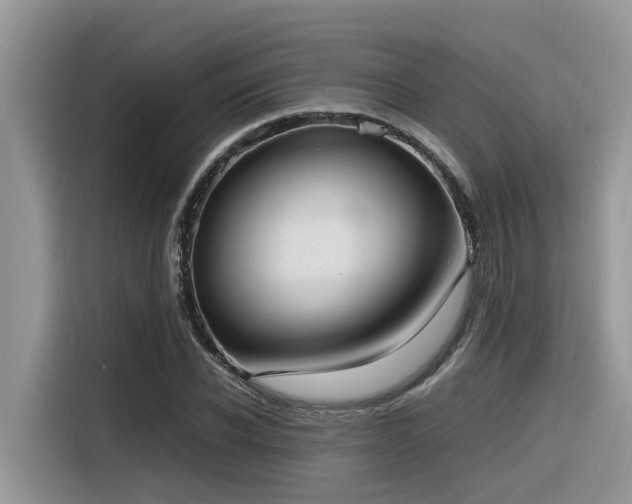 X0000116330926200912011129