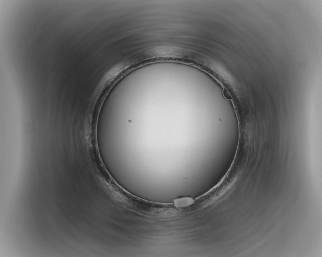 X0000116330930200912011129