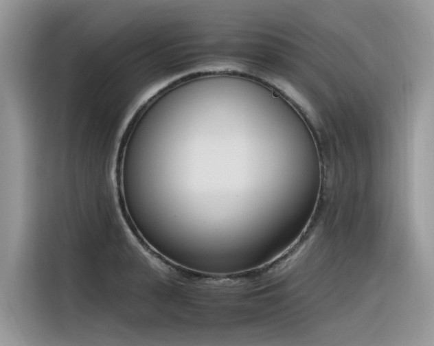 X0000116330943200912011130