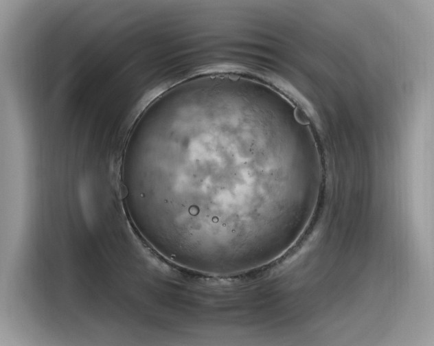 X0000116330945200912011130