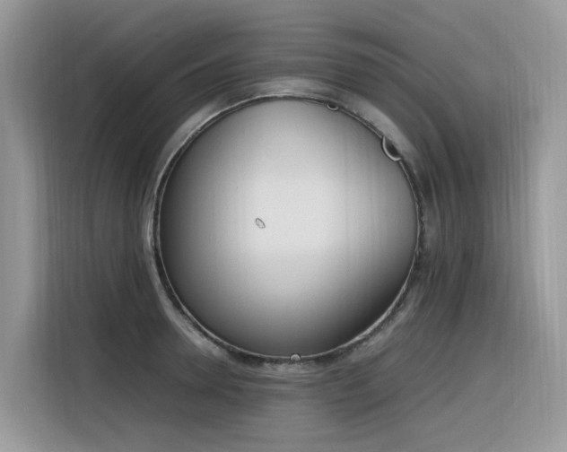 X0000116330946200912011130