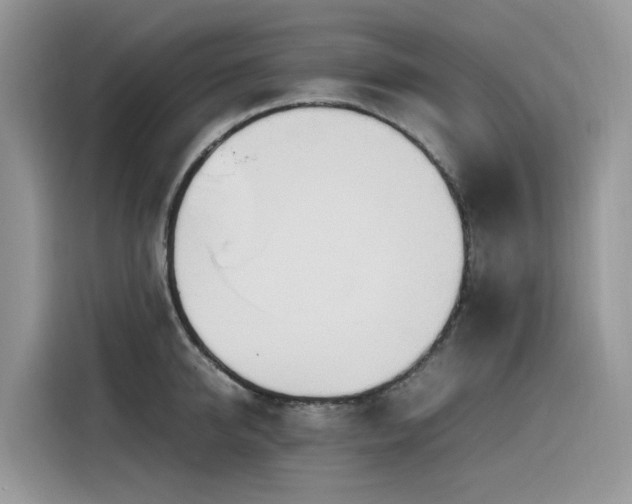 X0000116330950200912011130