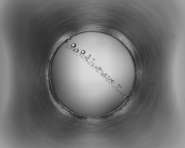 X0000116330954200912011130
