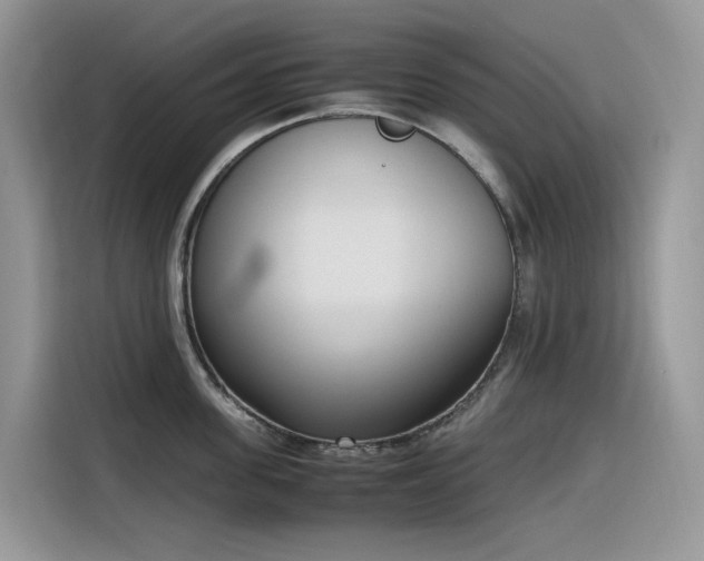 X0000116330955200912011130