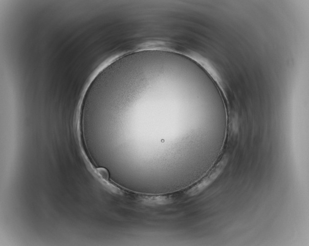 X0000116330957200912011130