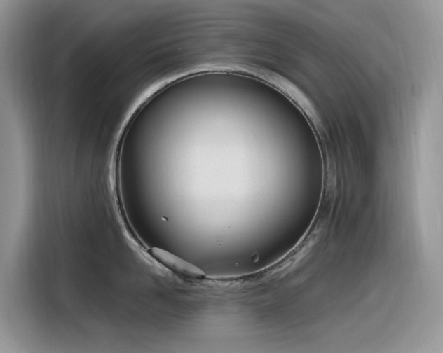 X0000116330958200912011130