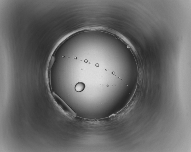 X0000116330959200912011130