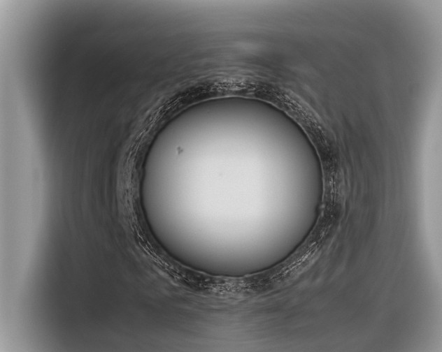 X0000116330961200912011129