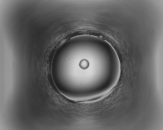X0000116330965200912011129