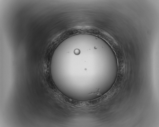 X0000116330966200912011129