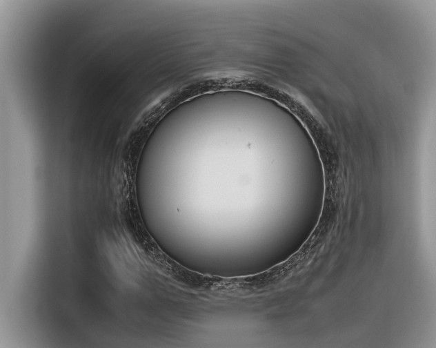 X0000116330967200912011129