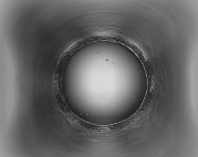 X0000116330968200912011129