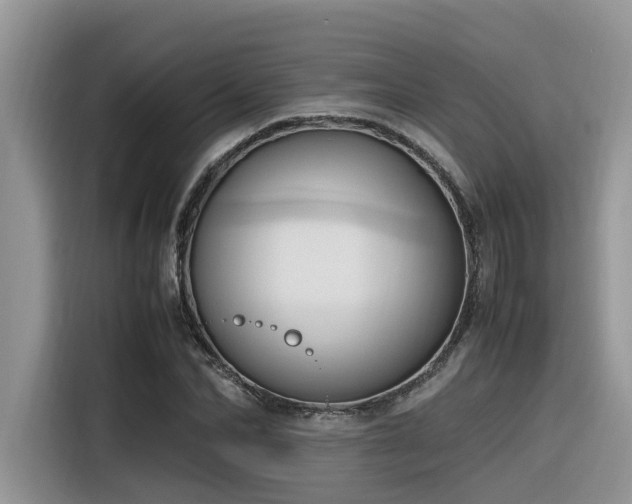 X0000116330974200912011129