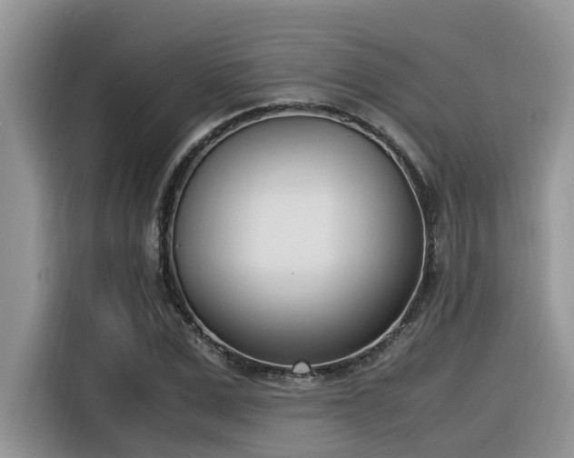 X0000116330975200912011129