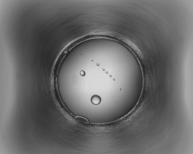 X0000116330976200912011129