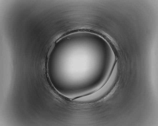X0000116330977200912011129