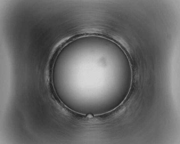 X0000116330979200912011129