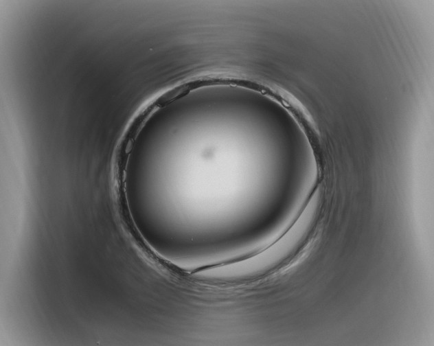 X0000116330981200912011129