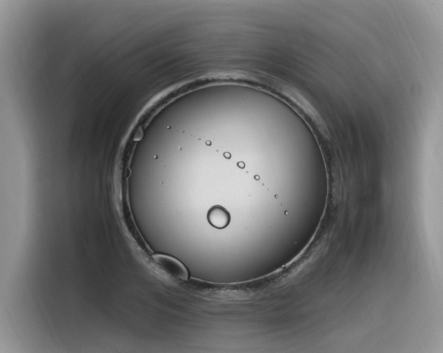 X0000116330984200912011129
