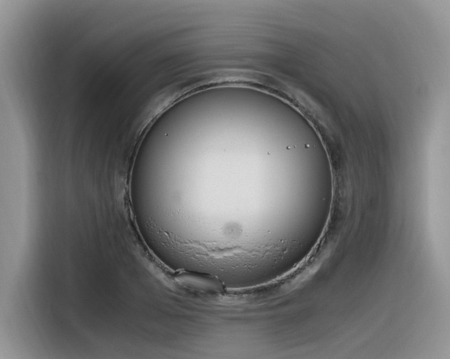 X0000116330985200912011129