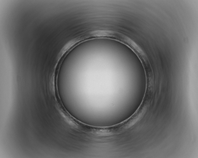 X0000116330986200912011129