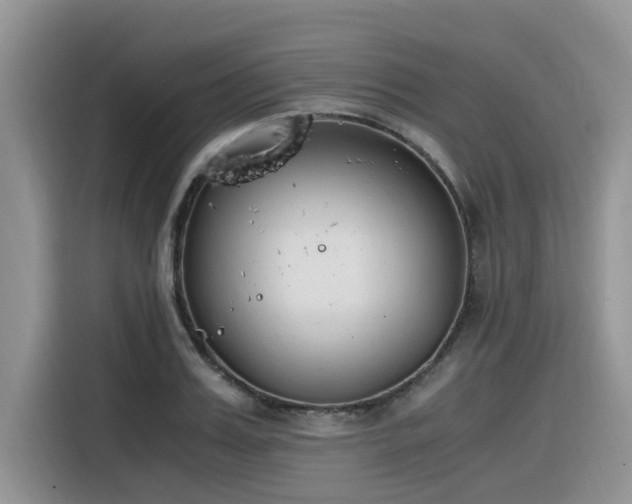 X0000116330987200912011129