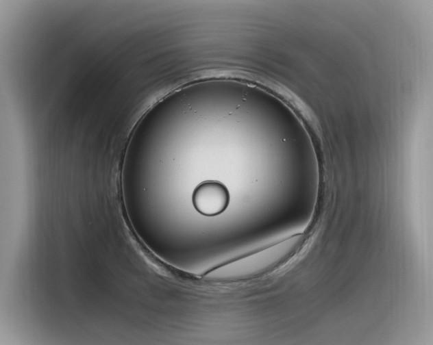 X0000116330993200912011129