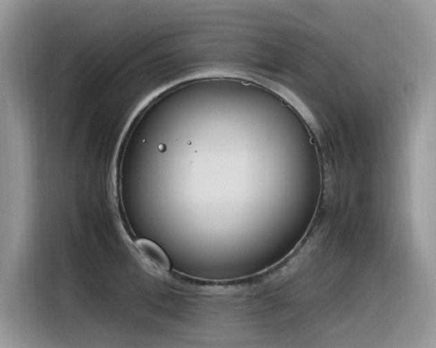 X0000116330996200912011129