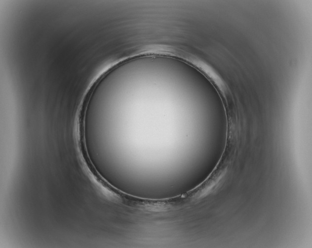X0000116330999200912011129
