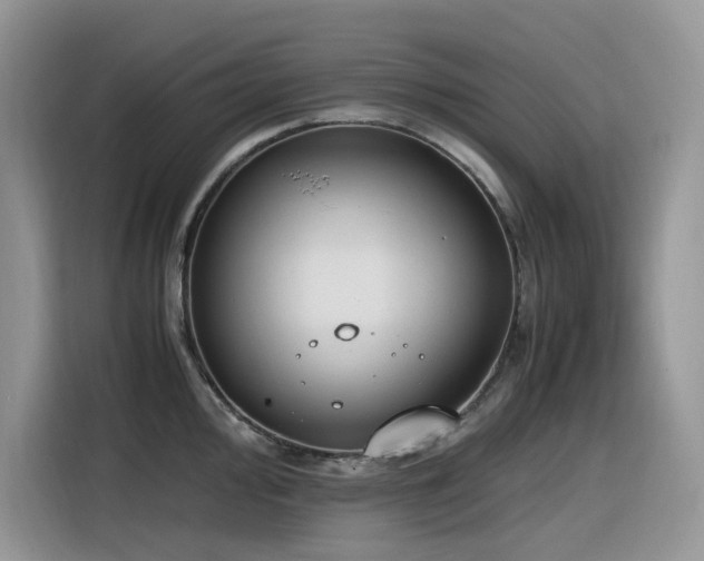 X0000116331000200912011129