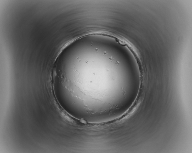 X0000116331001200912011129