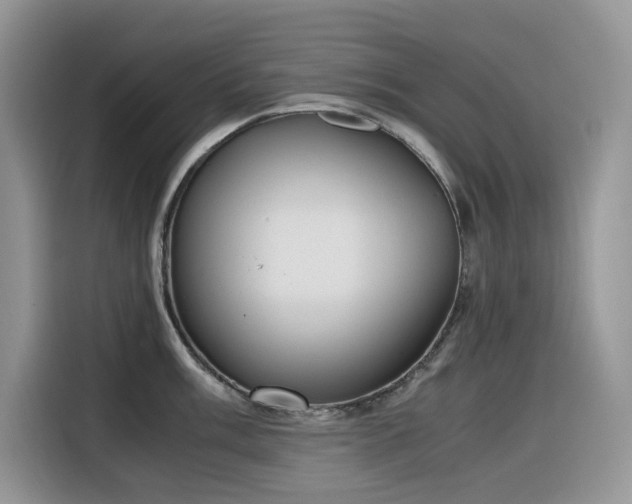 X0000116331003200912011129