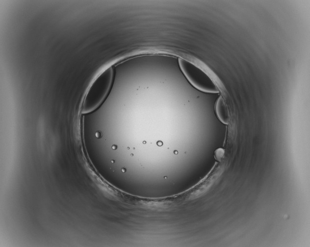 X0000116331004200912011129