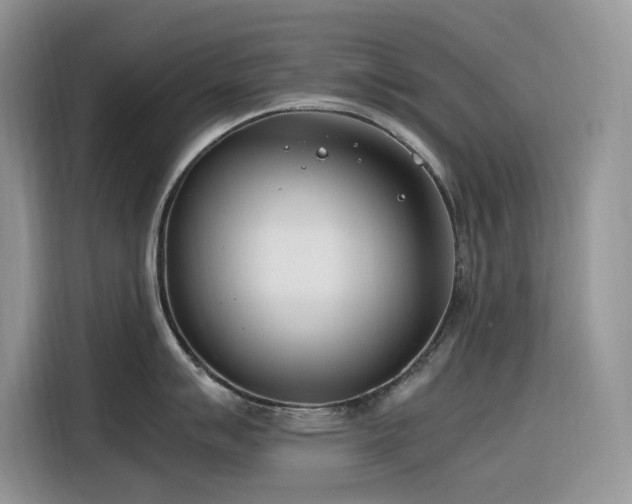 X0000116331007200912011129