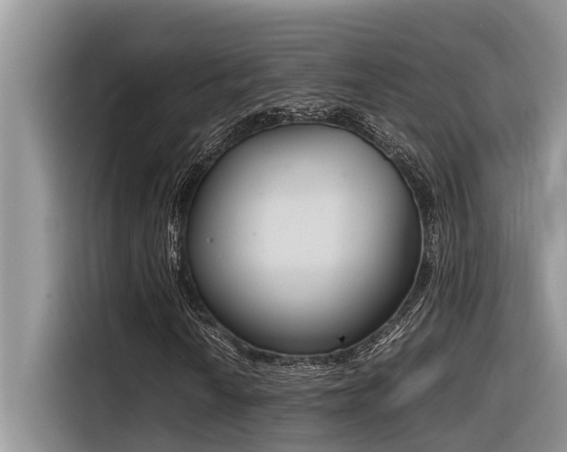 X0000116331010200912011128