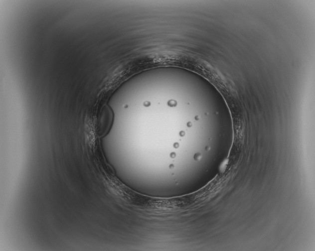 X0000116331012200912011128