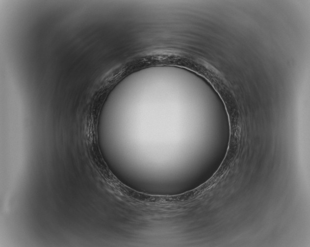X0000116331014200912011128