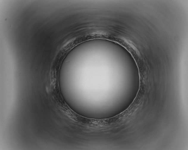 X0000116331015200912011128