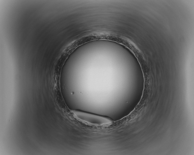 X0000116331016200912011128