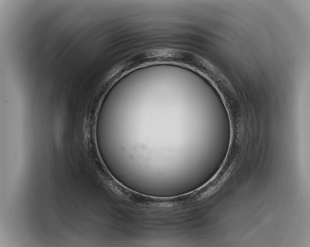 X0000116331017200912011128