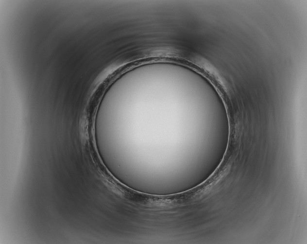 X0000116331019200912011128