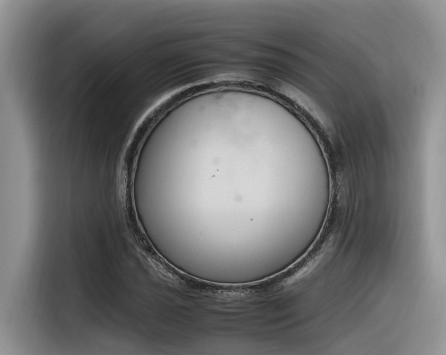 X0000116331021200912011128