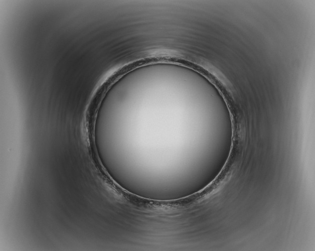 X0000116331022200912011128