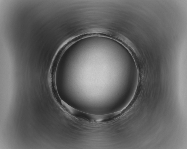 X0000116331024200912011128