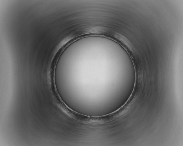 X0000116331026200912011128