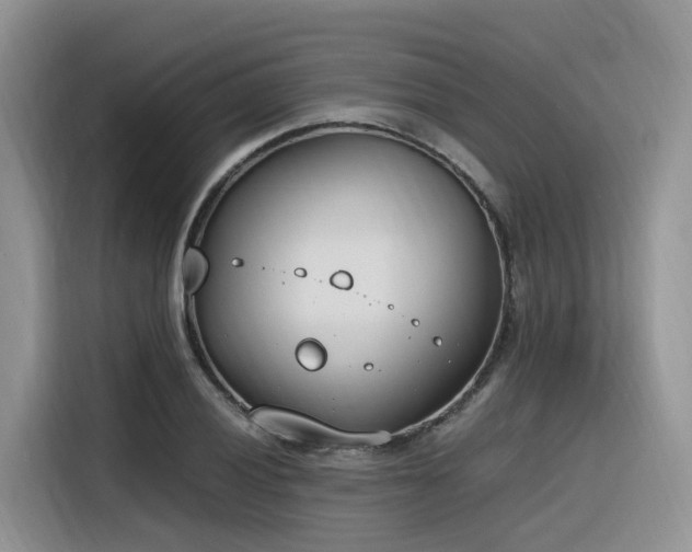 X0000116331028200912011128