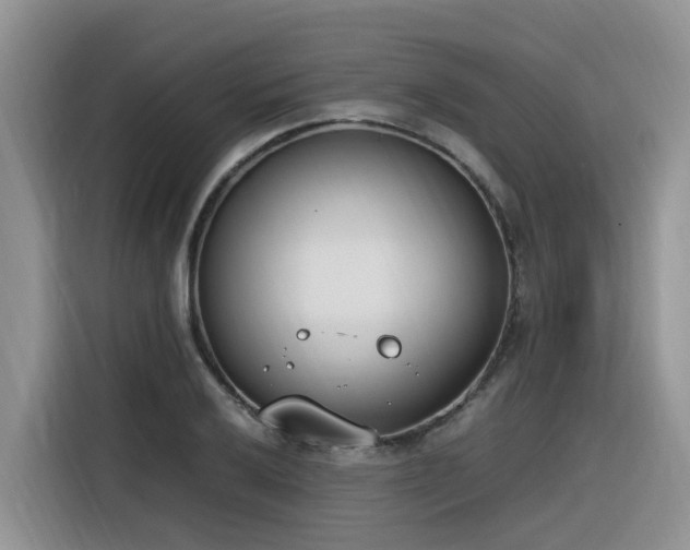 X0000116331032200912011128