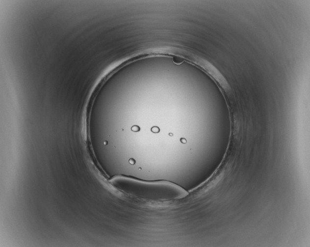 X0000116331036200912011128