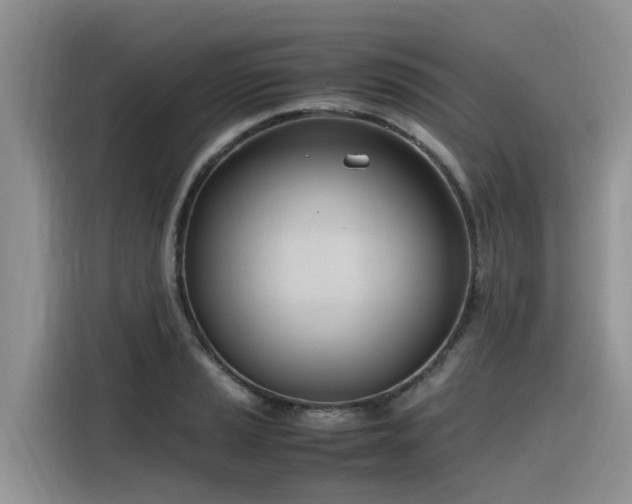 X0000116331037200912011128